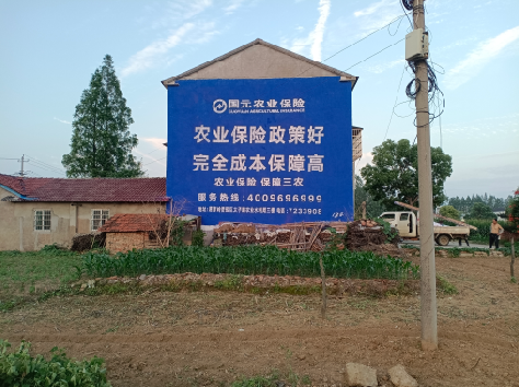 武汉墙体广告为何受追捧？